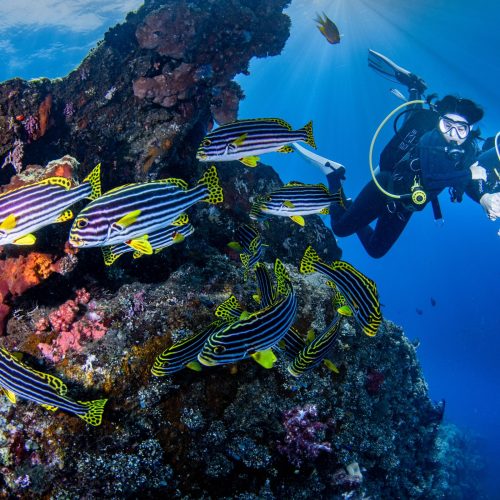 3. POTRAIT - 4 Think