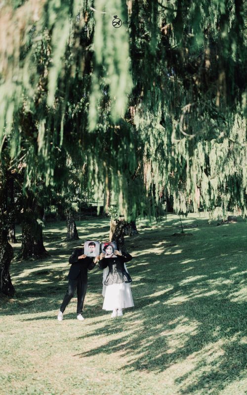 Cover Depan abel abi