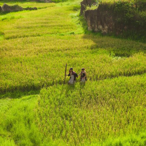 FELIK-IVANA2