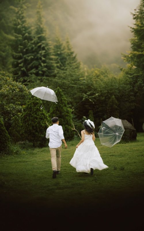 Header 3 tania wisnu (3)