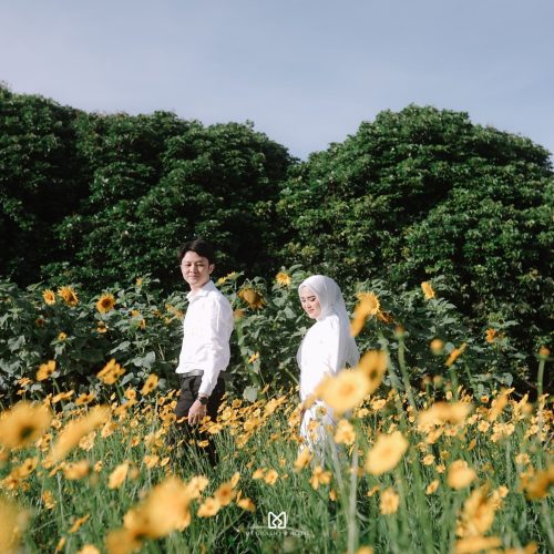 galleri gia adel (18)