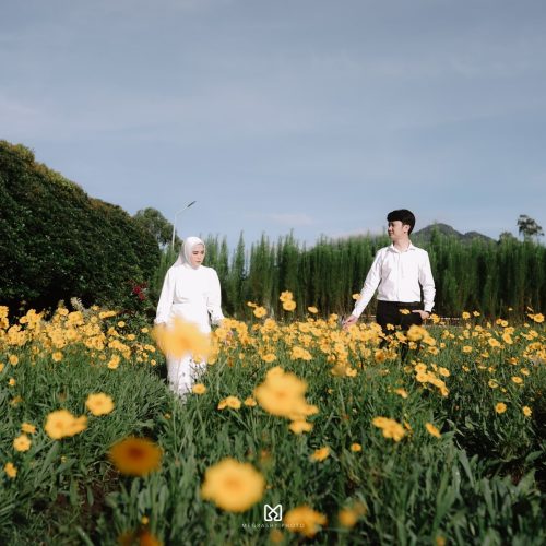 galleri gia adel (20)